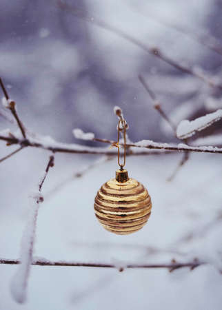 Christmas toy on a fir-tree close upの写真素材