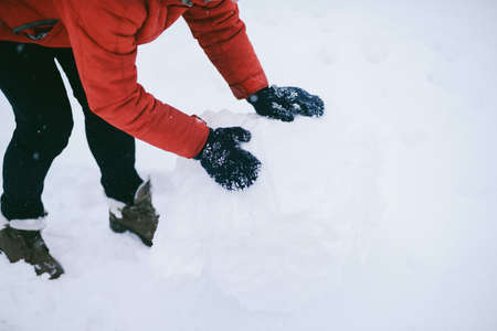 Dog Dachshund Runs Playing on Snow in Winter on a Coldの写真素材