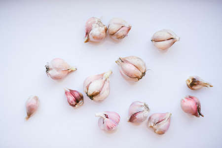 group of garlic on white background.の写真素材