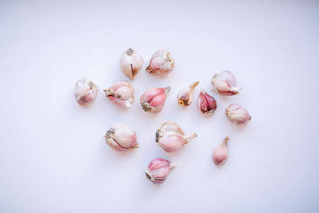 group of garlic on white background.の写真素材