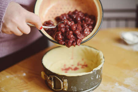 Ingredients for baking - flour, wooden spoon, rolling pin, eggs. Woman hands kneading fresh dough の写真素材