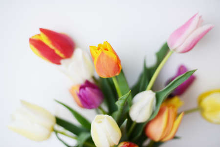 bouquet of beautiful tulipsの写真素材