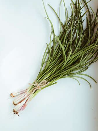 Green onion isolated on the white background. flat layの写真素材