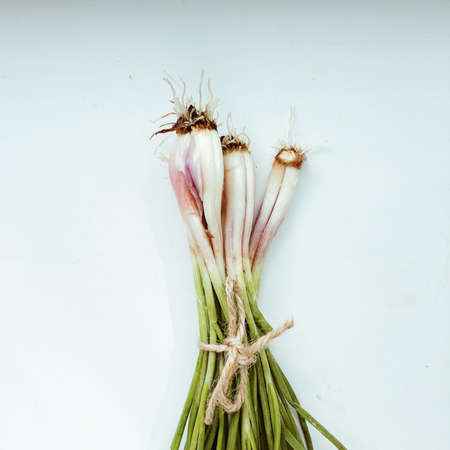 Green onion isolated on the white background. flat layの写真素材