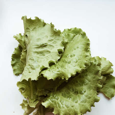 Salad leaf. Lettuce isolated on white background.の写真素材