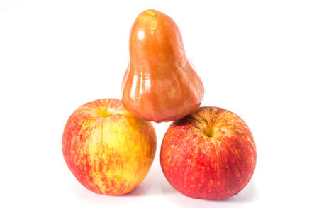 apple rose apple mix fruit same penisの写真素材