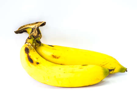 thailand banana in the hot seasonの写真素材