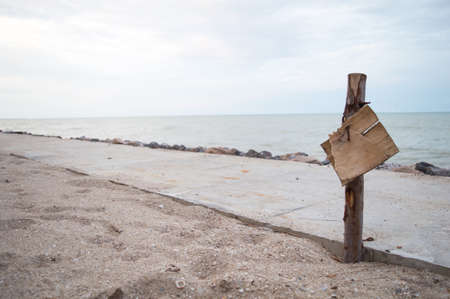 the stump on the beach