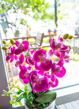 false flower violet color beautifulの写真素材