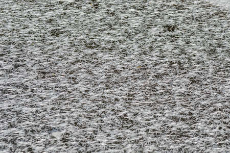 A pond that has frozen over with a unique ice crystal patternの写真素材