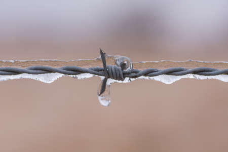 Ice frozen around barbed wire fence