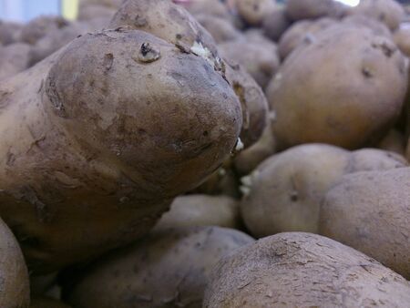 oddly shaped potato in vegetable marketの素材