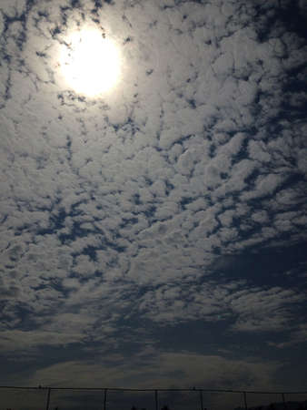 Sheeps on the sky