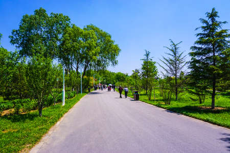 Green Roadの写真素材