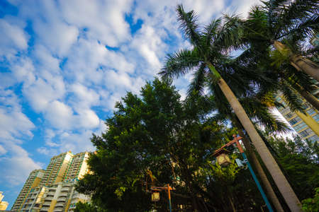 The South Gate of the park landscape trees in Huizhou Cityのeditorial素材