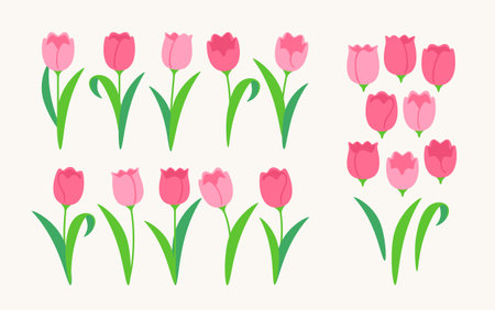 Tulip flower illustration parts setのイラスト素材