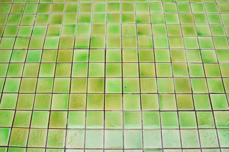 Green tile.の写真素材