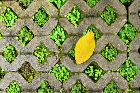 Brick block with grass.の写真素材