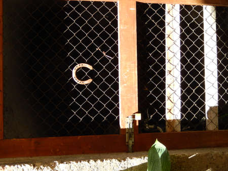 Door with Horseshoeの写真素材