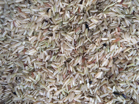 Rice have more vitaminの素材