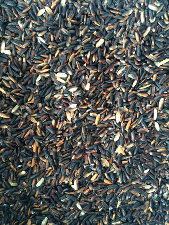 Rice have more vitaminの素材