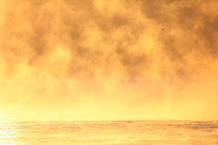 Mist rising from the Susquehanna River at dawn... MD, USA.の写真素材