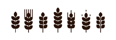 Crossed out sign with wheat ear or wheat spike icon.のイラスト素材