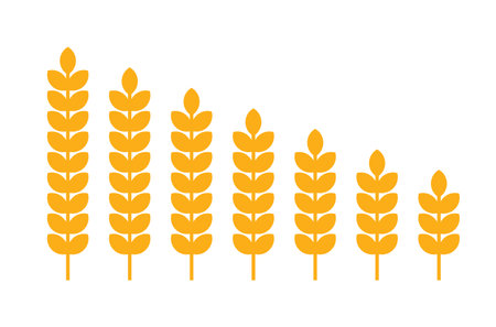 Barley spike or corn ear. Bakery, bread or agriculture logo concept.のイラスト素材