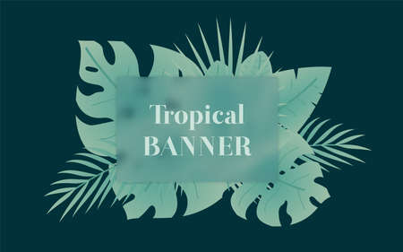 Tropical leaf banner. Exotic or jungle leaf.のイラスト素材