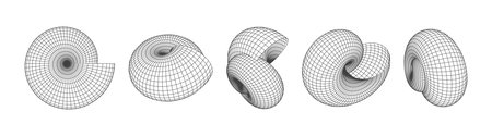 Monochrome Wireframe Grid Shape. Abstract 3D Geometric Shell Spiral Shapeのイラスト素材