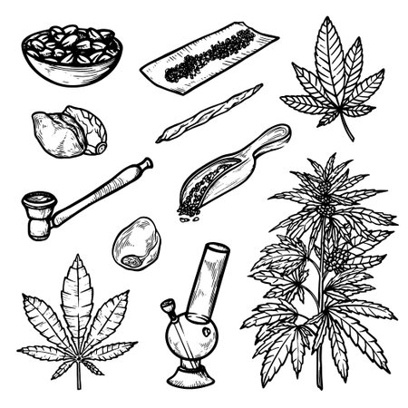 Marijuana, cannabis for drug and medical useのイラスト素材