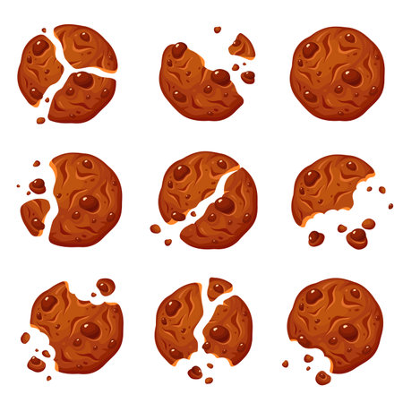 Chocolate chip cookies set, crispy homemade biscuitsのイラスト素材