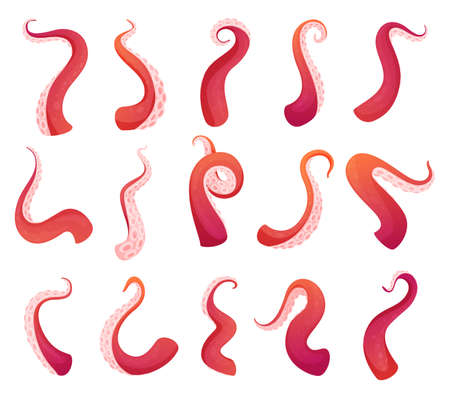 Collection octopus tentacles different shape vector sea squid creature underwater monsterのイラスト素材