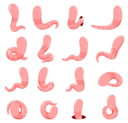 Minimalist simple faceless pink worms set vector flat illustration cartoon funny earthwormのイラスト素材