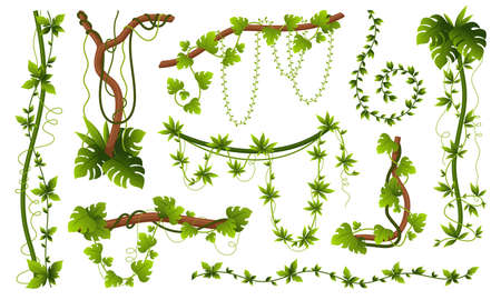 Natural creepers set vector flat green leaves wooden branches tropical jungle vegetationのイラスト素材