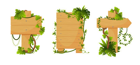 Wooden plaques rustic banner with exotic creepers plant set vector flat wood billboard signsのイラスト素材