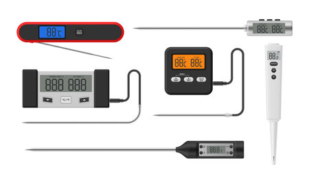 Kitchen thermometer electronic display probe for cooking temperature checking set realistic vectorのイラスト素材
