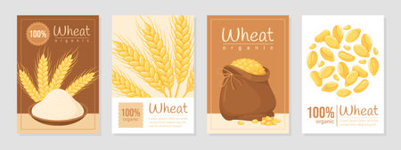 Organic wheat grain cereal harvest greeting post card design template set vector flatのイラスト素材