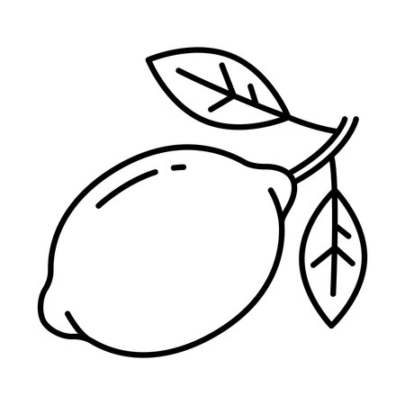 An icon of a fresh lemon attached to a stem with leaves. Ideal for culinary themes, designs and promoting a healthy lifestyle.のイラスト素材