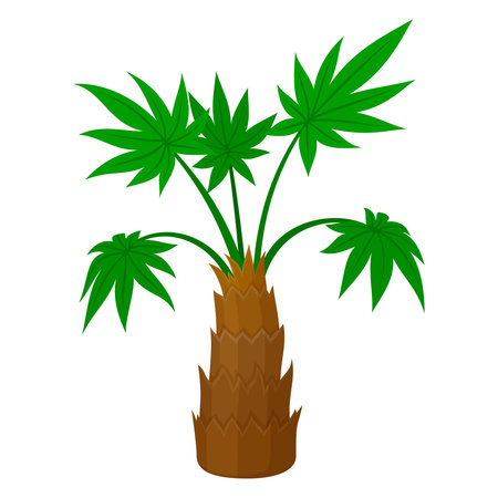 Vector illustration of a palm tree with lush green leaves, symbolizing tropical beauty and natureのイラスト素材