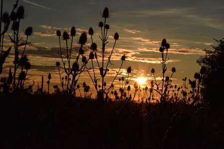 Sunset in the natureの写真素材
