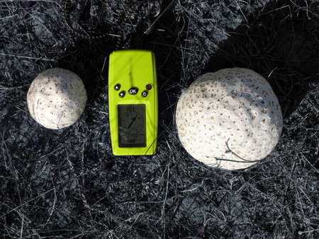 amazing handheld GPS among wolf fartsの写真素材