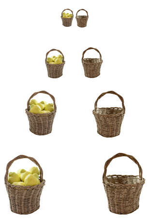 empty  baskets and quinces in handcrafted  homemade baskets made of olive twigs  isolated on a whiteの写真素材