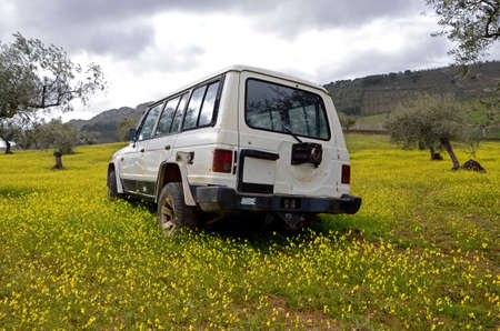 old SUV car in a landscape with yellow flowersの写真素材