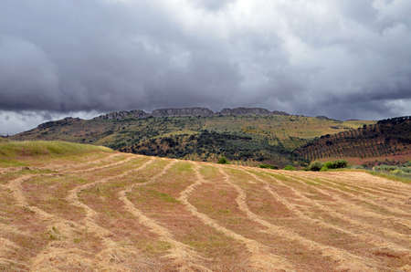 landscape under sky threatening storm in summerの写真素材