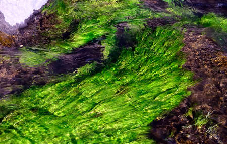 abstract composition of a stream