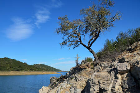 landscape with holm oak and rockrose and waterの写真素材