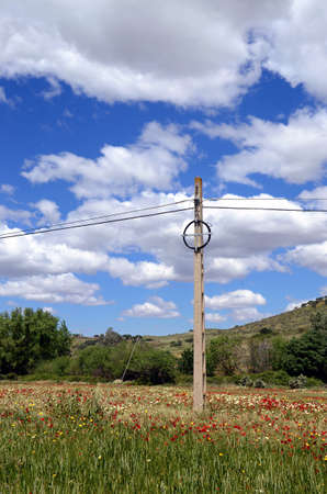 cement post and landscape with poppies in a green wheat field and trees against blue sky and white clouds in southern Spainの写真素材