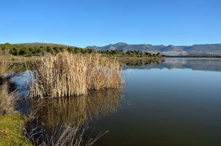 landscape with reflections in the water of a lake in southern Extremadura Spainの写真素材