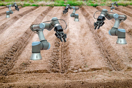 Land for agricultural preparation of farmer have installed a robot for help a working, With the new agricultural theory concept on Smart Farming 4.0 and Industry 4.0, innovation concept ideaの写真素材